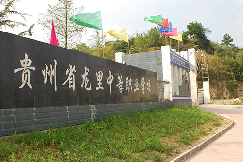 贵州龙里职业技术学校